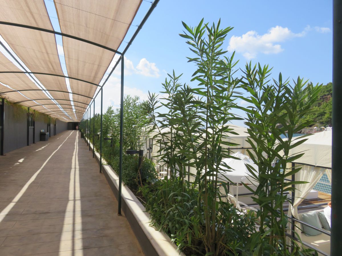 imagini hotel MYLOME ALANYA